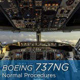 Boeing 737-800 Normal Procedures - cockpit view
